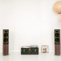 Revival Audio Sprint 4 (walnut). Kolumny podłogowe. - 8