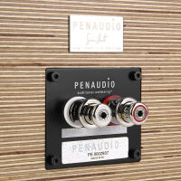 Penaudio Signature Cenya Centre. Kolumna centralna. - 6