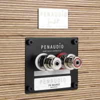 Penaudio Signature Cenya Centre. Kolumna centralna. - 6