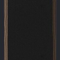 Dynaudio Special Forty (ebony). Kolumny podstawkowe. - 4