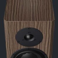 Dynaudio Special Forty (ebony). Kolumny podstawkowe. - 2