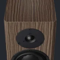 Dynaudio Special Forty (ebony). Kolumny podstawkowe. - 2