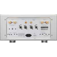 Esoteric Grandioso S1X. Końcówka mocy stereo klasy hi-end. - 4