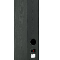 Pylon Audio Opal 30 (czarny). Kolumny podłogowe. - 4