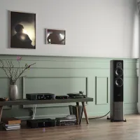 Dynaudio Contour 30i (nordic). Kolumny podłogowe. - 7