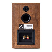 Argon Audio Forus 4 (orzech). Kolumny podstawkowe. - 3