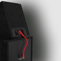 Klipsch R-800F (czarny). Kolumny podłogowe. - 5