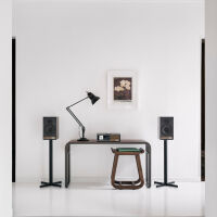 Ruark Audio Sabre-R (czarny). Kolumny podstawkowe. - 15
