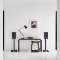 Ruark Audio Sabre-R (czarny). Kolumny podstawkowe. - 15
