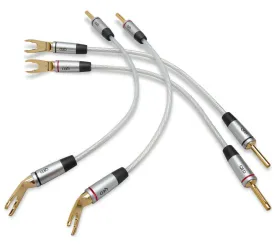 QED Performance QE7621. Zworki do kolumn głośnikowych.