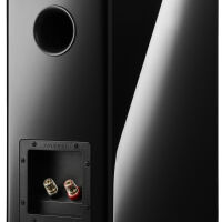 Dynaudio Evoke 20 (czarny). Kolumny podstawkowe. - 5