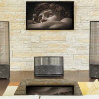 Martin Logan ILLUSION ESL C34A. Kolumna centralna. - 16