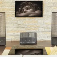 Martin Logan ILLUSION ESL C34A. Kolumna centralna. - 16