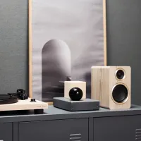 Argon Audio Fenris A4 (ash). Aktywne kolumny podstawkowe. - 4