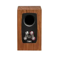 Martin Logan Motion XT B100 (orzech). Kolumna podstawkowa. - 5
