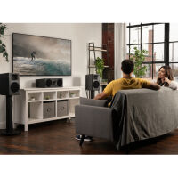 Martin Logan Motion XT B100 (orzech). Kolumna podstawkowa. - 11
