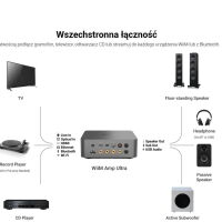 WiiM Amp Ultra (srebrny). Sieciowy wzmacniacz stereo. - 8
