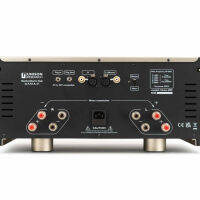 Unison Research Unico DM V2 (złoty). Końcówka mocy. - 4