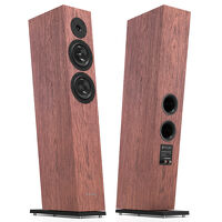 Pylon Audio Diamond 25 mkII (okleina naturalna). Kolumny podłogowe. - 6
