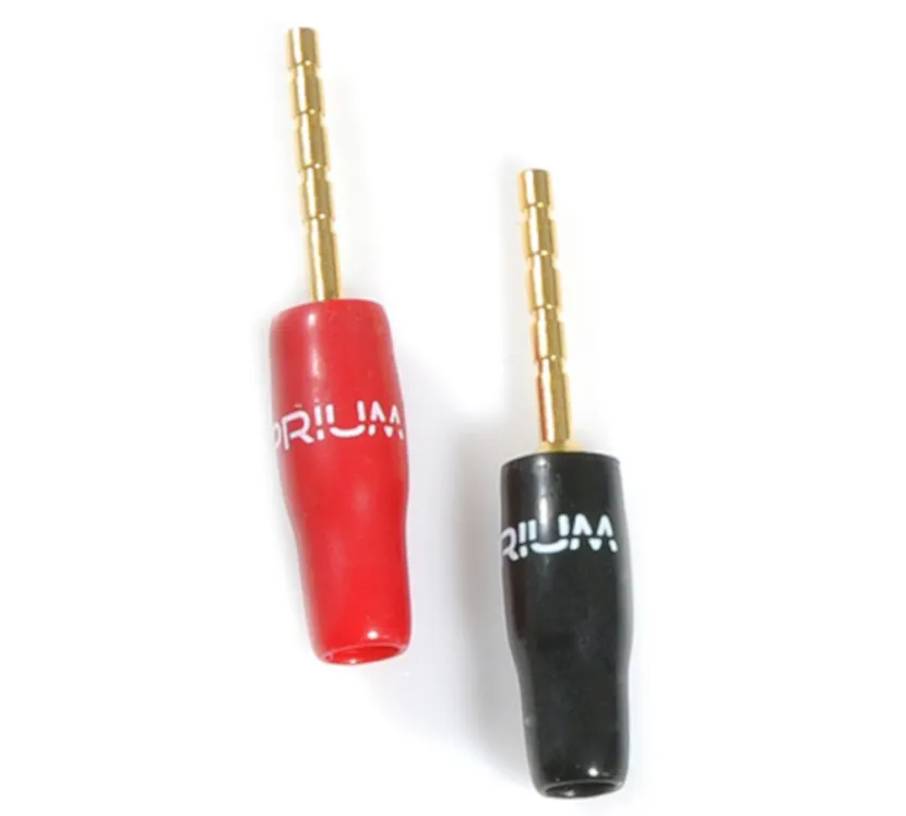 main