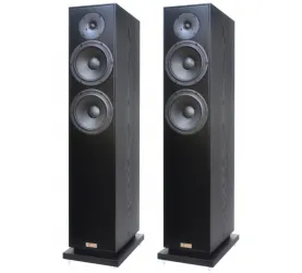 Penaudio Rebel Three  Luumaki Edition (oak). Kolumny podłogowe.