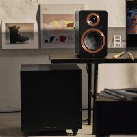 Argon Audio Berlin Sub 10 (czarny). Subwoofer aktywny. - 6