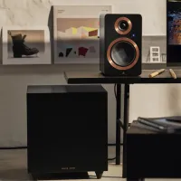 Argon Audio Berlin Sub 10 (czarny). Subwoofer aktywny. - 6