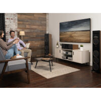 Martin Logan Motion XT C100 (orzech). Kolumna centralna. - 10