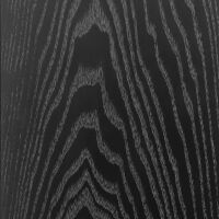 Penaudio Ambient Two (czarny). Kolumna podłogowa. - 7