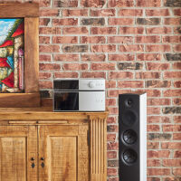 Anthem STR Power Amplifier (srebrny). Końcówka mocy. - 8