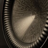 Paradigm XR 11 (orzech). Subwoofer aktywny. - 13