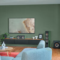 Focal Aria Evo X N°1 (zielony). Kolumny podstawkowe. - 9