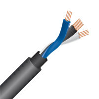 Wireworld Equinox 10 (ESM). Przewód do subwoofera (4.0m). - 2
