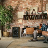 Pylon Audio Jade 20 (okleina naturalna). Kolumny podłogowe. - 6