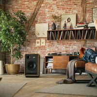 Pylon Audio Jade 20 (okleina naturalna). Kolumny podłogowe. - 6