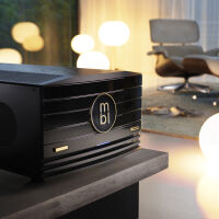 MBL Reference Line Power Amplifier 9011 A (czarny/złoty). Końcówka mocy mono/stereo. - 6