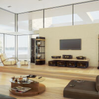 MBL Reference Line Power Amplifier 9011 A (czarny/złoty). Końcówka mocy mono/stereo. - 8