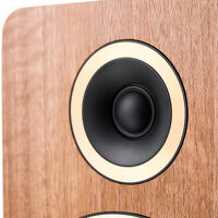 Argon Audio Fenris A55 (orzech). Aktywne kolumny podłogowe. - 3