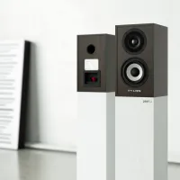 Pylon Audio Pearl Sat (wenge). Kolumny podstawkowe. - 6