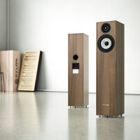 Pylon Audio Pearl 20 (orzech). Kolumny podłogowe. - 7