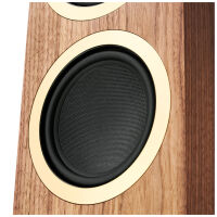 Argon Audio Forte A55 WiFi (orzech). Aktywne kolumny podłogowe. - 3