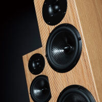 Penaudio Snow Talvi (oak). Kolumny podłogowe. - 11