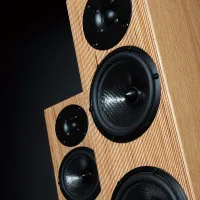 Penaudio Snow Talvi (oak). Kolumny podłogowe. - 11