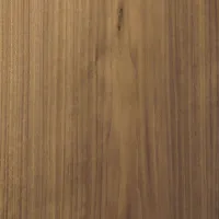 Penaudio Snow Talvi (oak). Kolumny podłogowe. - 12