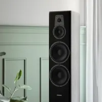 Dynaudio Contour 60i (nordic). Kolumny podłogowe. - 6