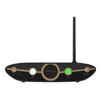iFi Audio ZEN Stream 3. Odtwarzacz sieciowy. - 6