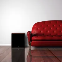 Martin Logan BalancedForce 210 (czarny). Subwoofer aktywny. - 8