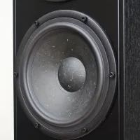 Penaudio Rebel Three  Luumaki Edition (czarny). Kolumny podłogowe. - 5