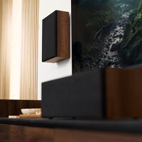 Argon Audio Forus 4 Wall (orzech). Kolumny naścienne. - 4