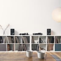 Dynaudio Emit 10 (orzech). Kolumny podstawkowe. - 8